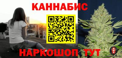 шишки Апшеронск