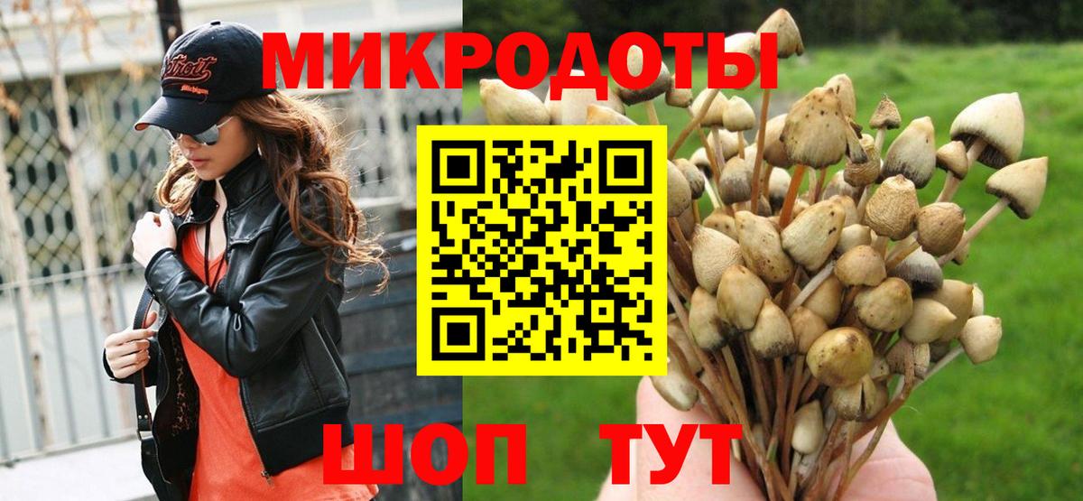 Галлюциногенные грибы Psilocybe Боровичи