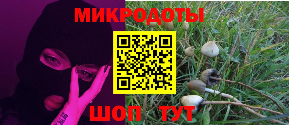 Боровичи  Псилоцибиновые грибы MAGIC MUSHROOMS  Галлюциногенные грибы Psilocybine cubensis  Вход с VPN 